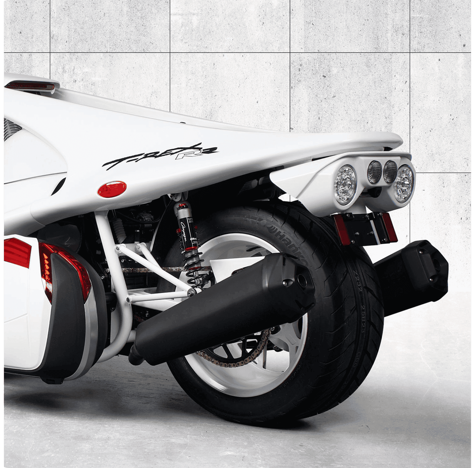 Arctic White