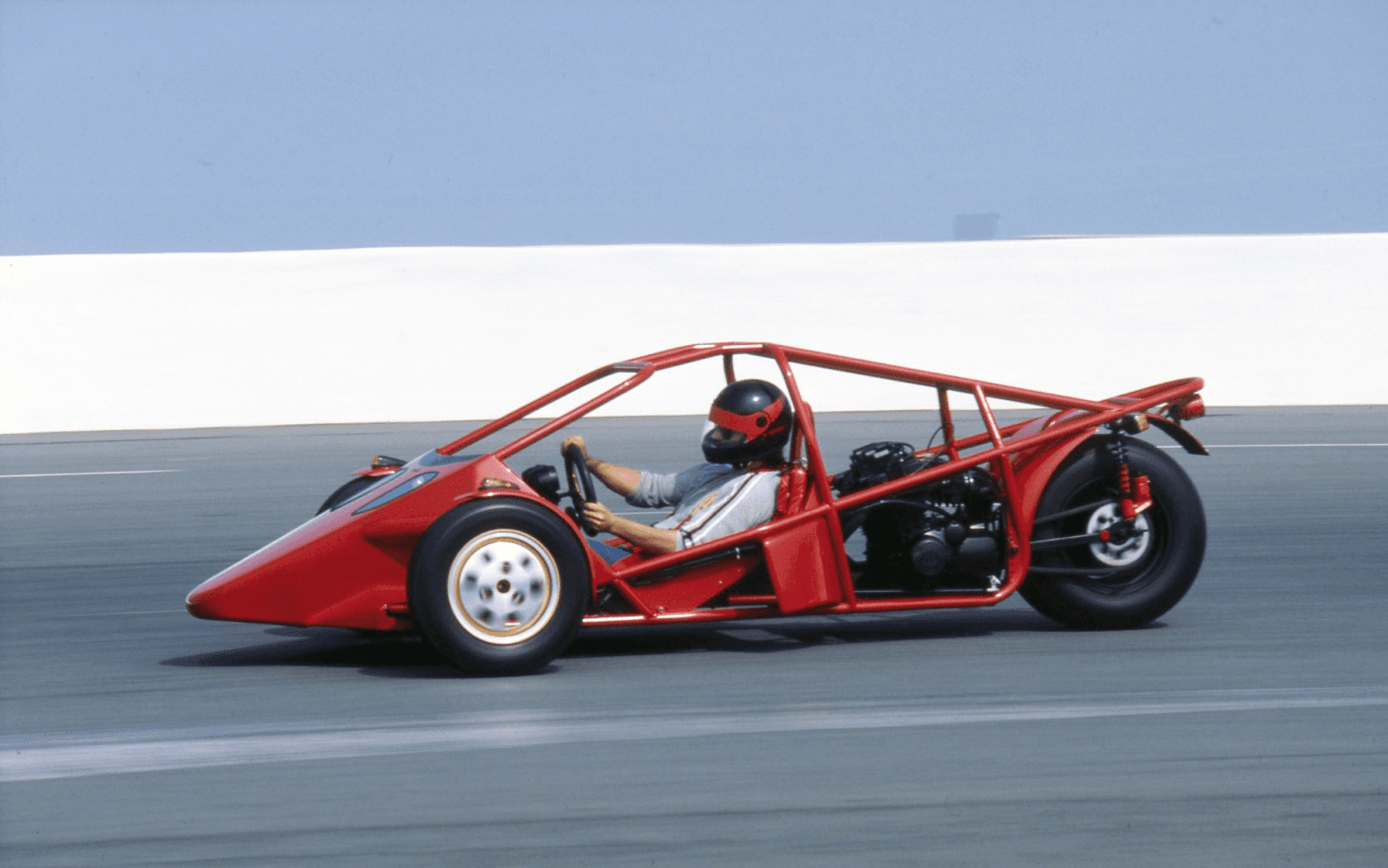 Original Campagna T-REX in motion